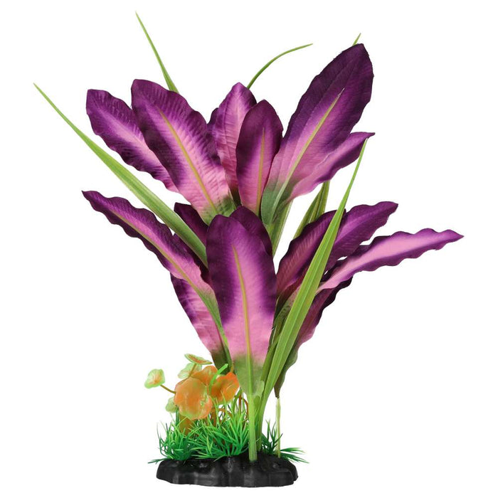 Aquaspectre Sword Leaf Purple
