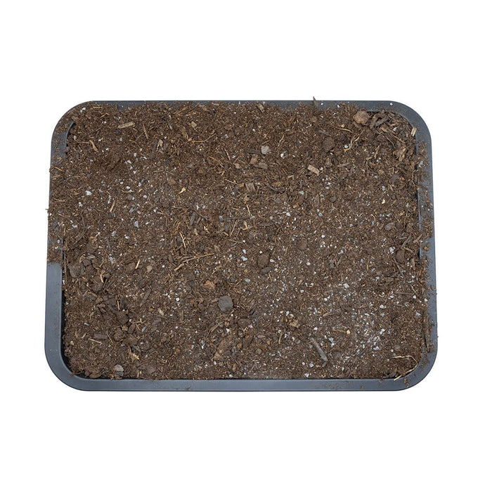 Arcadia EarthMix Bioactive Substrate (Tropical, Arid & Prairie) – Reptile Soil