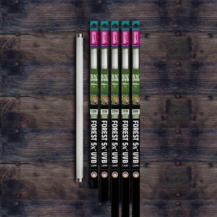 Arcadia Euro-Range Forest 5% T8 UV Tube