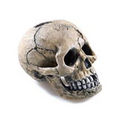 Classic Spooky Skull 105mm