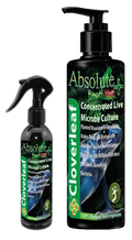 Cloverleaf Absolute Repti-VET Concentrated Live Microbe Culture