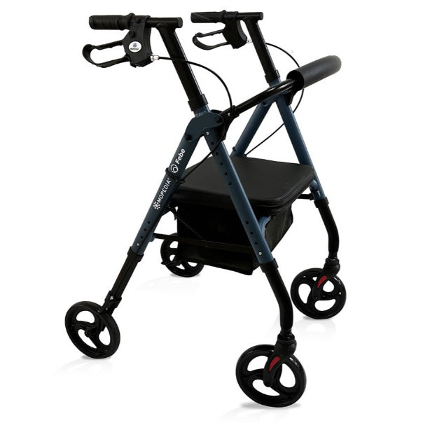Deambulatore Rollator MORETTI Febe RP547