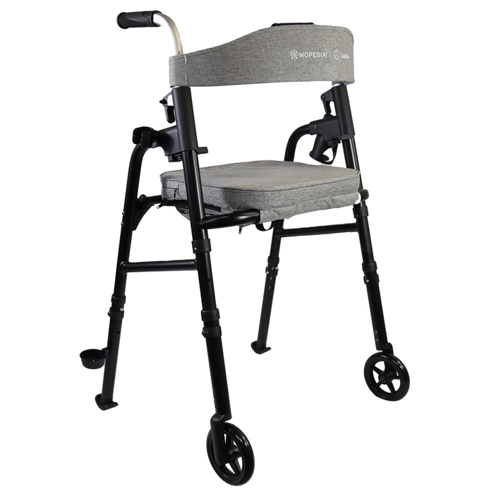 Deambulatore Rollator MORETTI Luna RP503