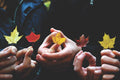DHC Diamond Program