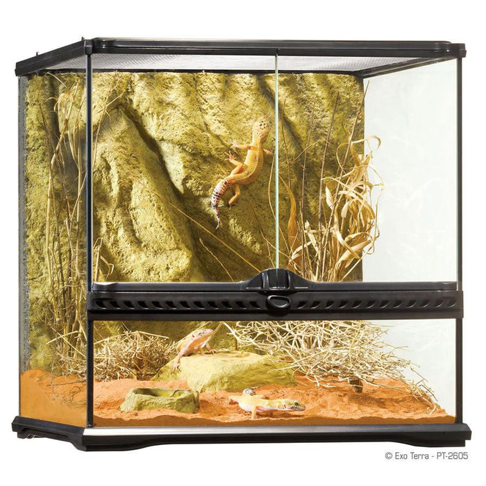 Exo Terra Glass Terrarium (60cm Wide) Medium - COLLECTION ONLY