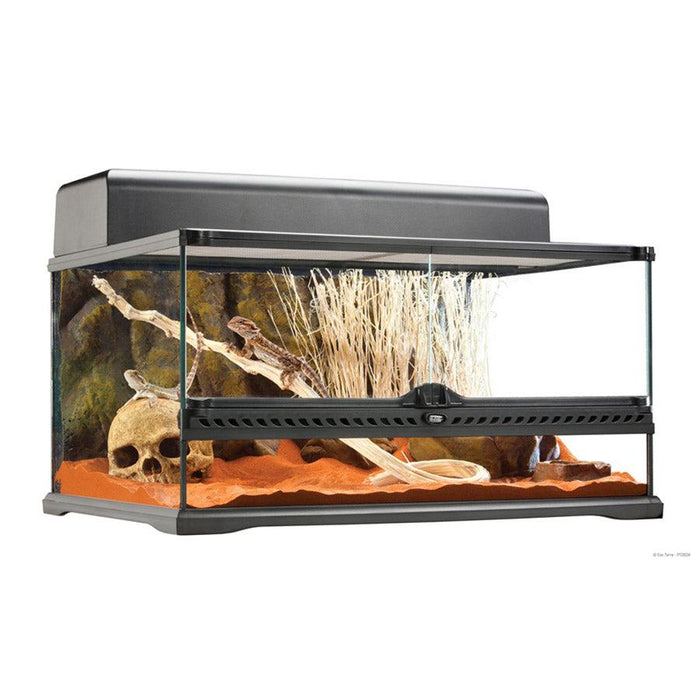 Exo Terra Glass Terrarium (60cm Wide) Medium - COLLECTION ONLY