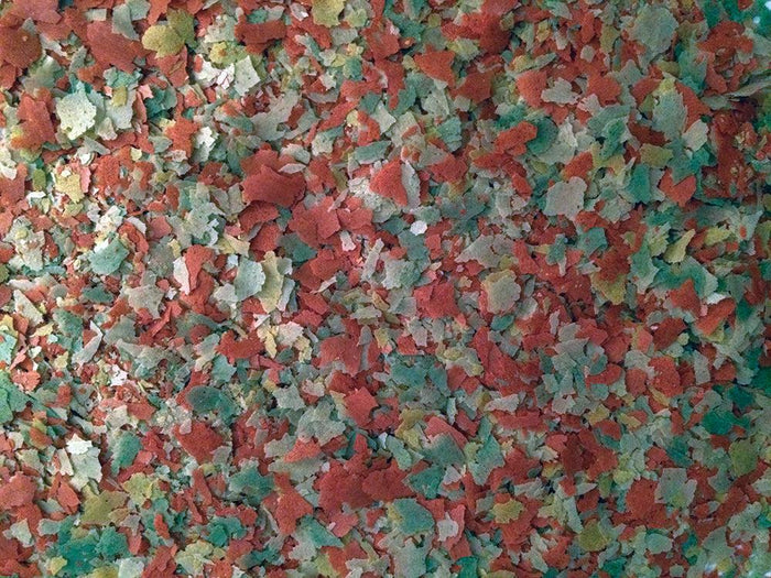 Fish Science Pond Flakes - DATED FEB 2026