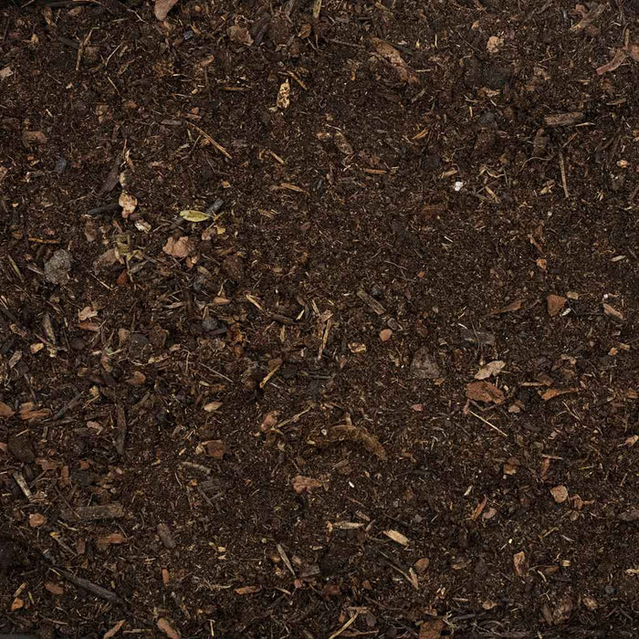 HabiStat Jungle Bio Substrate (Tropical Bioactive Soil)