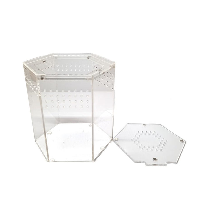 HerpXotics Acrylic Enclosure (1) Hexagon