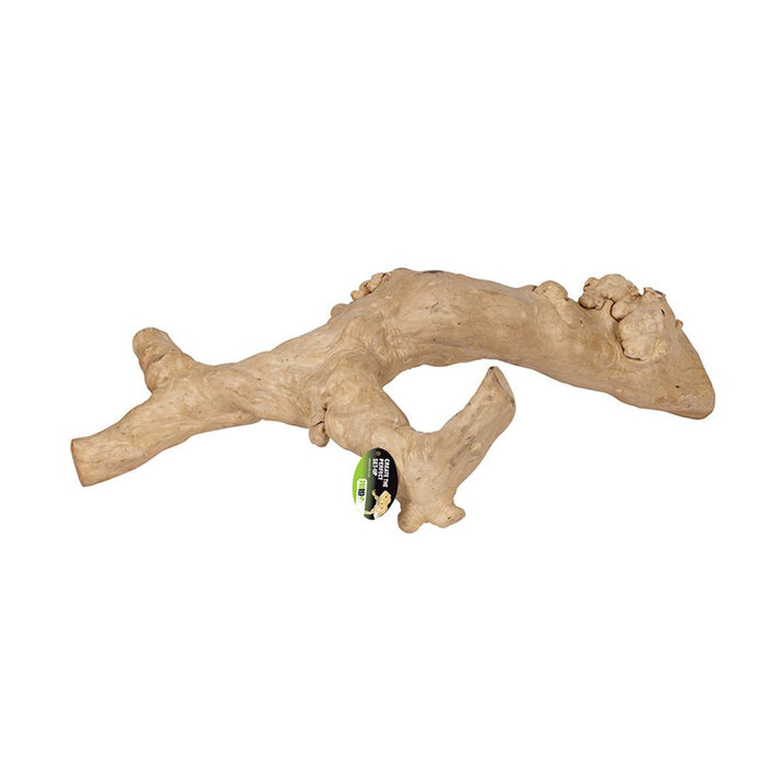 PR Java Reptile Branch, Large