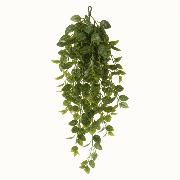 Komodo Banyan Leaf Hanging Plant 30cm