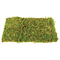 Komodo Natural Moss Mat