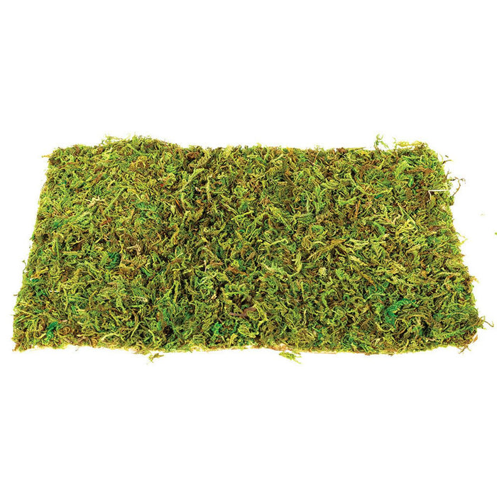 Komodo Natural Moss Mat