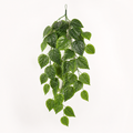 Komodo Perilla Leaf Hanging Plant 40cm