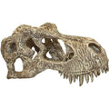 Komodo Resin T-Rex Skull