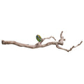 Lucky Reptile Premium Grapevine