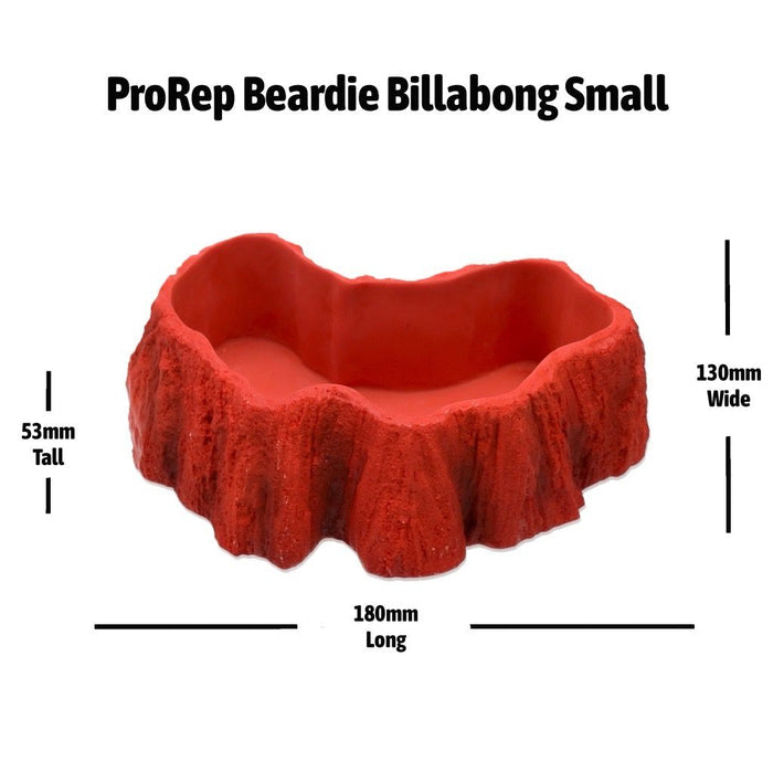 ProRep Beardie Billabong Pool Small 180x130x53mm