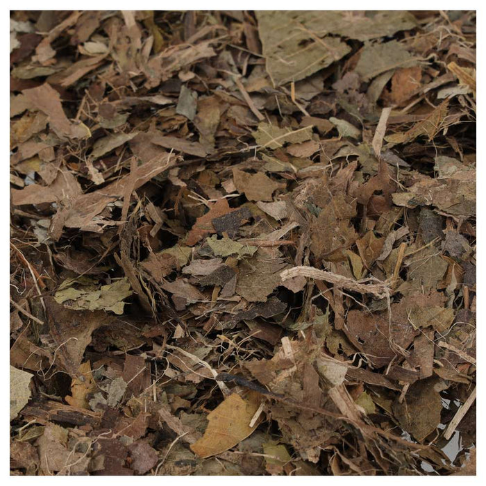 ProRep Bio Life Leaf Litter Block