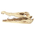 ProRep Resin Crocodile Skull, 24cm