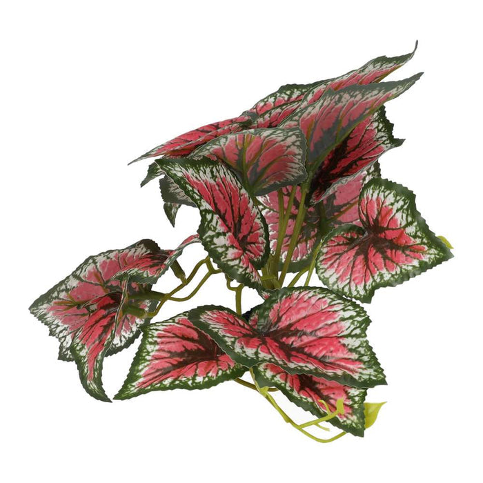 ProRep Terrestrial Begonia Salsa 14cm