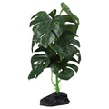 ProRep Terrestrial Monstera 27cm