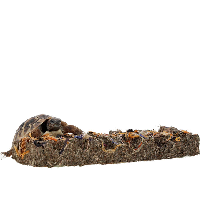 ProRep Tortoise Flower Foraging Bar 45g