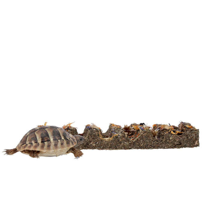 ProRep Tortoise Flower Foraging Bar 45g