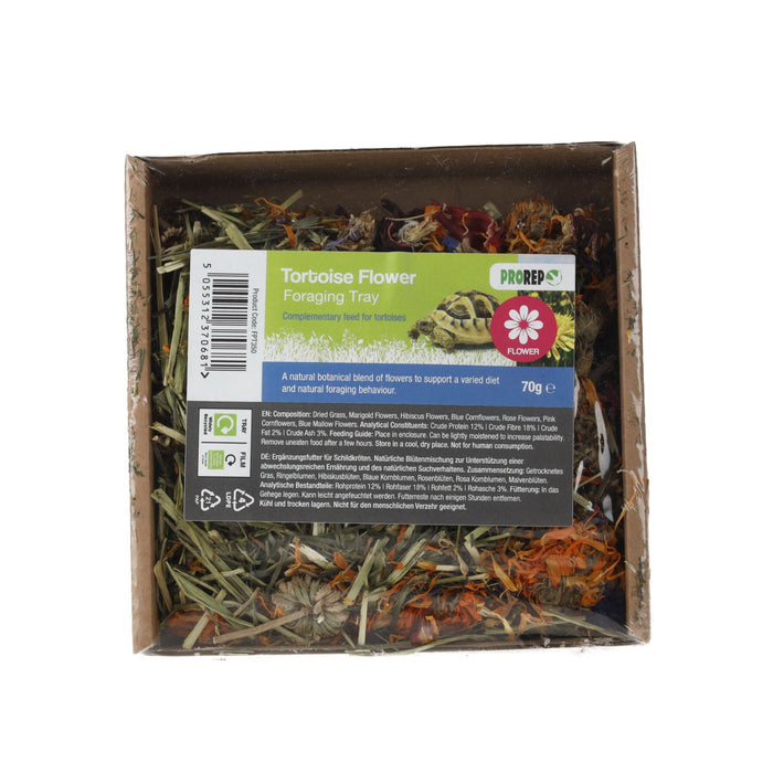 ProRep Tortoise Foraging Tray 70g