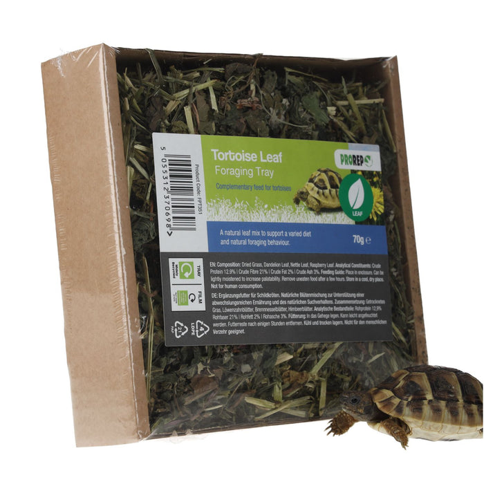 ProRep Tortoise Foraging Tray 70g