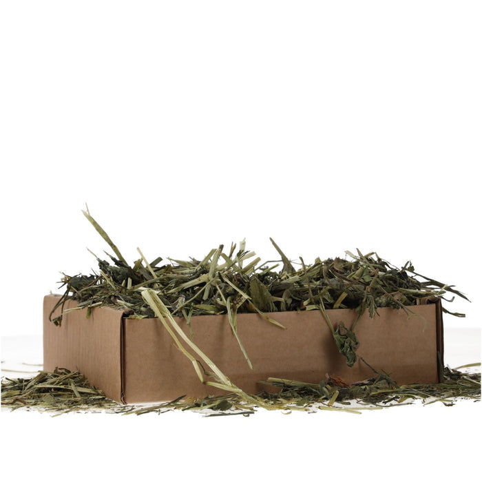 ProRep Tortoise Foraging Tray 70g