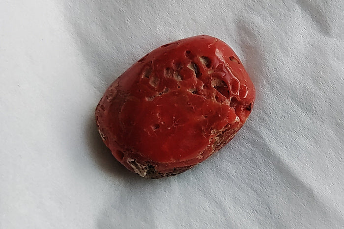 Red Coral