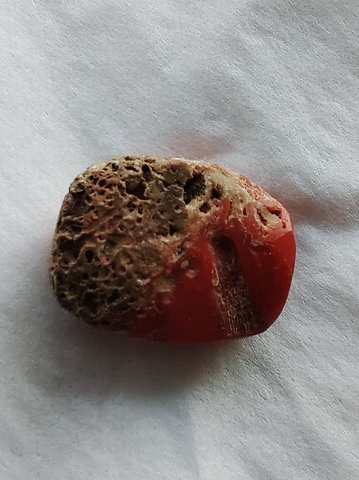 Red Coral