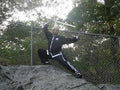 Tai Chi and Qi Gong