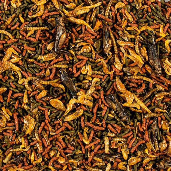 Tropical Soft Line Carnivore 80g product information