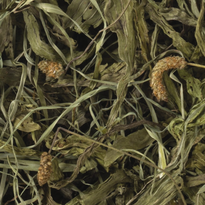 TropiFit Naturals Dried Forage